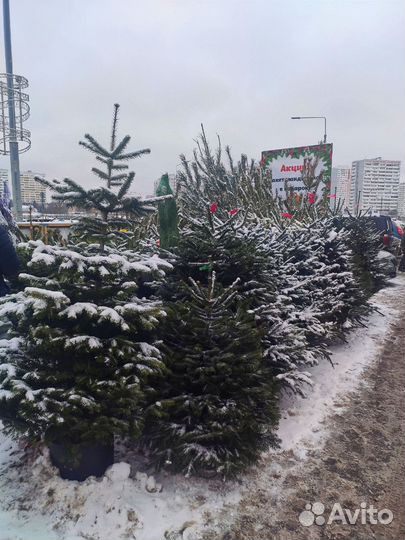 Готовая ярмарка новогодних товаров