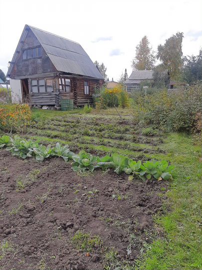 Участок 5,5 сот. (СНТ, ДНП)