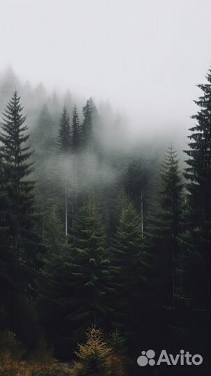 Светильник