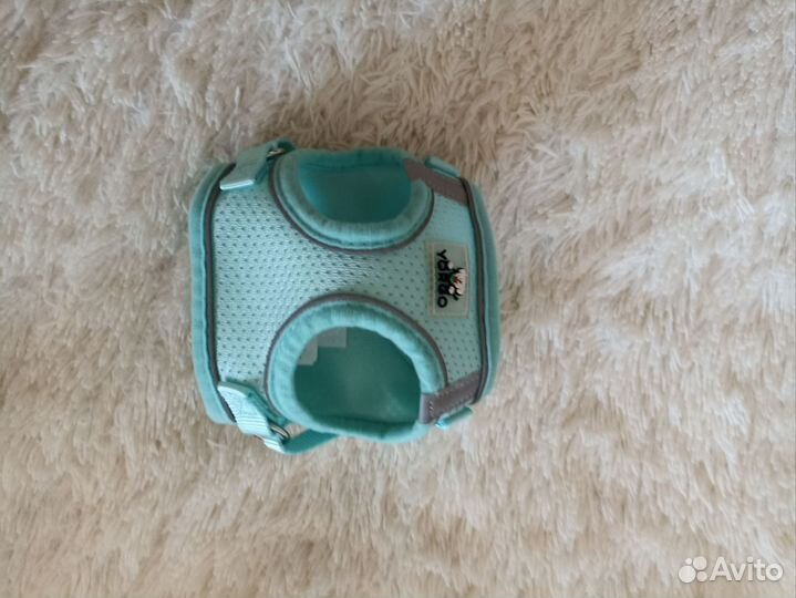 Одежда для маленьких собак пакетом