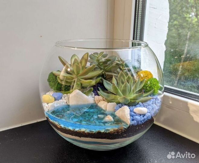 Флорариум с суккулентами