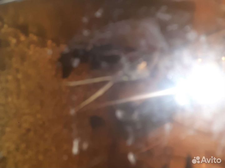 Аквариум с рыбками