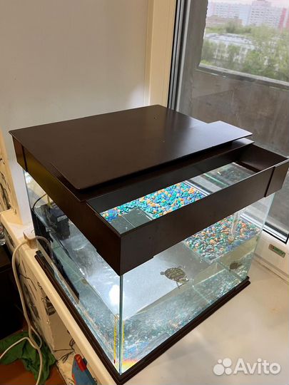Аквариум акватерариум