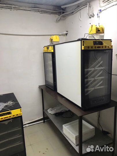 Инкубаторы brinsea