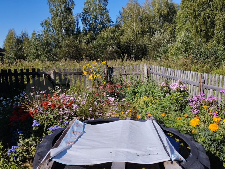 Участок 6,5 сот. (СНТ, ДНП)