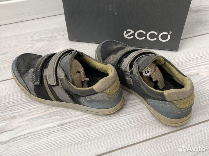 Ecco 30 размер