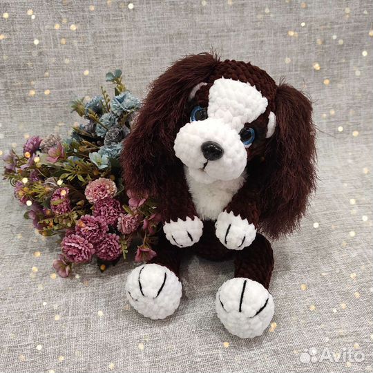 Собачка спаниель