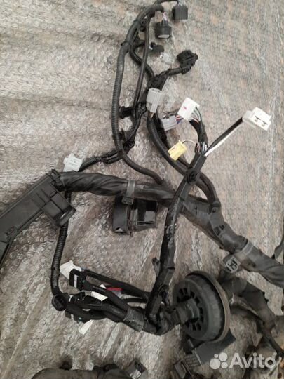 Проводка подкапотная (блока предохранителей)