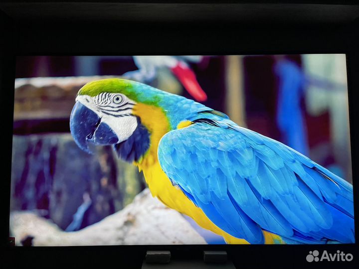 Samsung ue55nu7090u