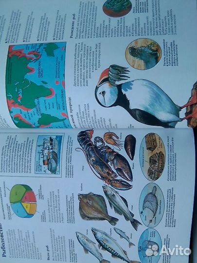 Книга Энциклопедия окружающего мира Детская школа