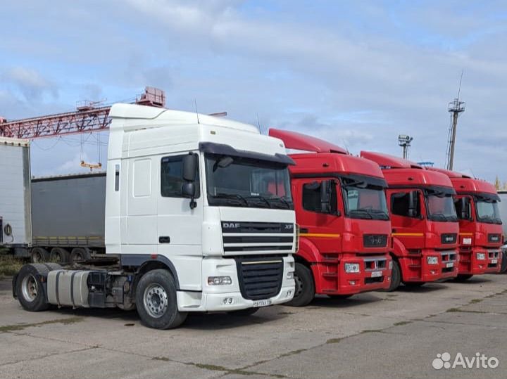 DAF FT XF 105.460, 2013