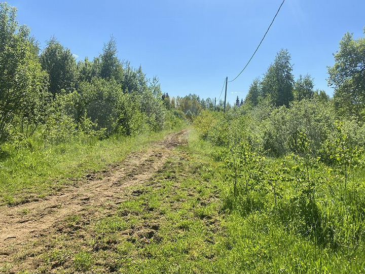 Участок 30 сот. (ИЖС)