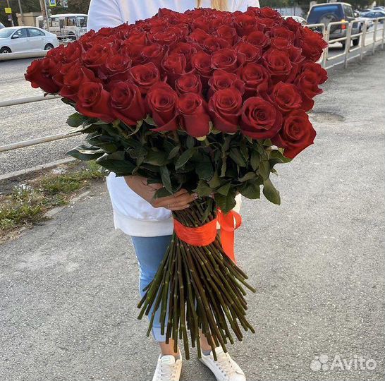 Роза Эквадор