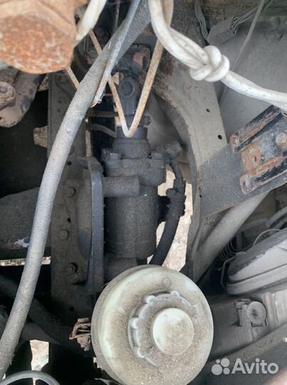 Гуры от Соболя