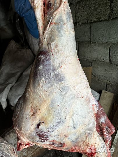 Мясо говядина домашняя задняя ляжка