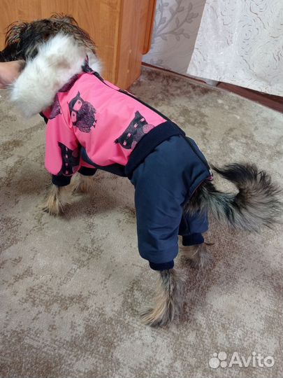 Одежда для больших и средних собак