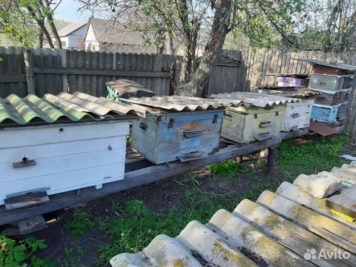 Ульи для пчел