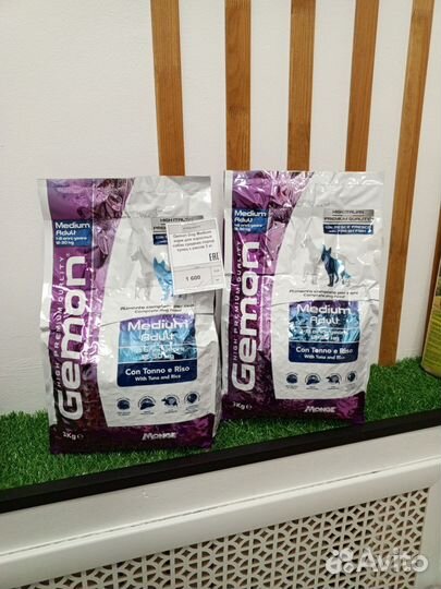 Сухой корм для собак