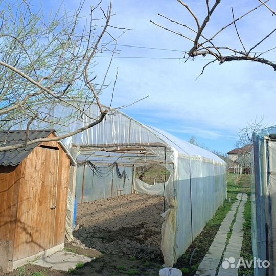 Парники теплицы бу