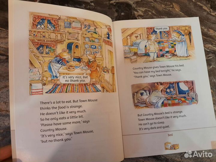 Family and Friends 2. The Town Mouse