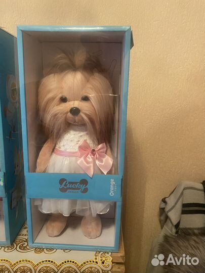 Собаки lucky doggy