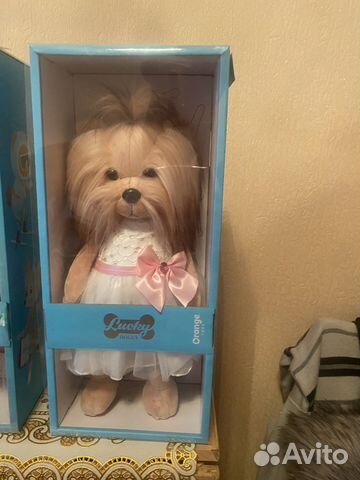 Собаки lucky doggy