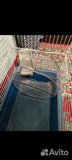 Клетка для грызунов