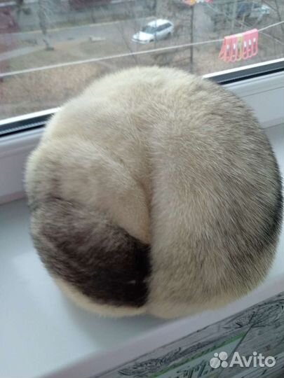 Шапка норковая женская бу