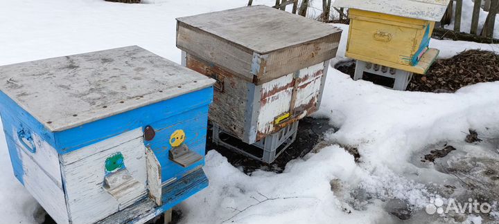 Ульи, подставки, пёлы