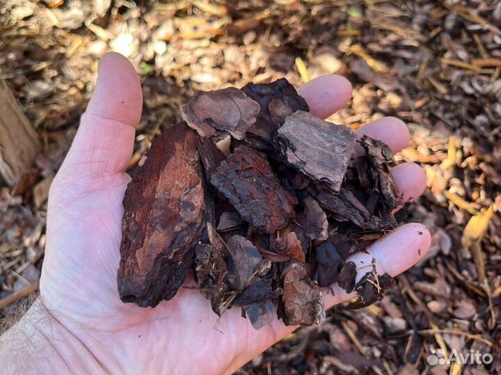 Сосновая кора/мульча фракция 50 мм