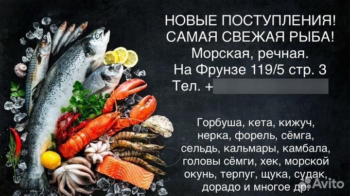 Рыба. Форель семга. Чили