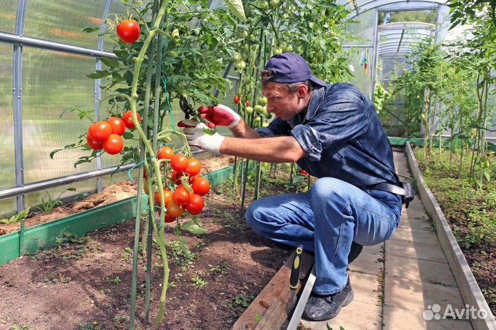 Разнорабочие с ежедневной оплатой