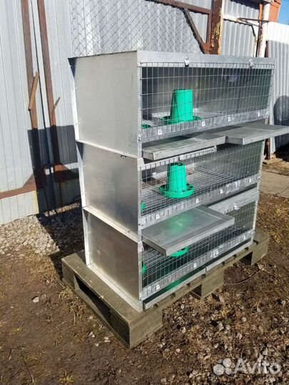 Клетки и брудера для домашней птицы