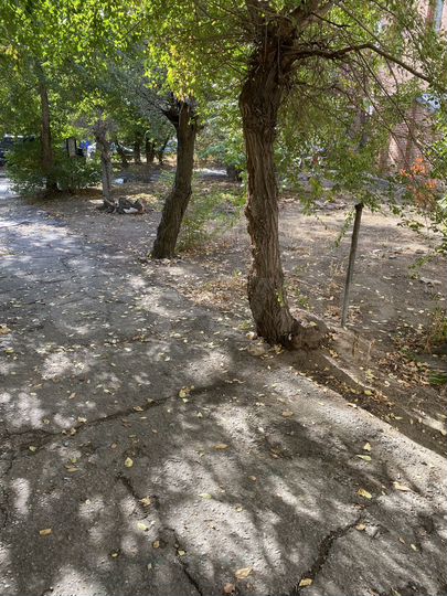 Офис, 152.9 м²