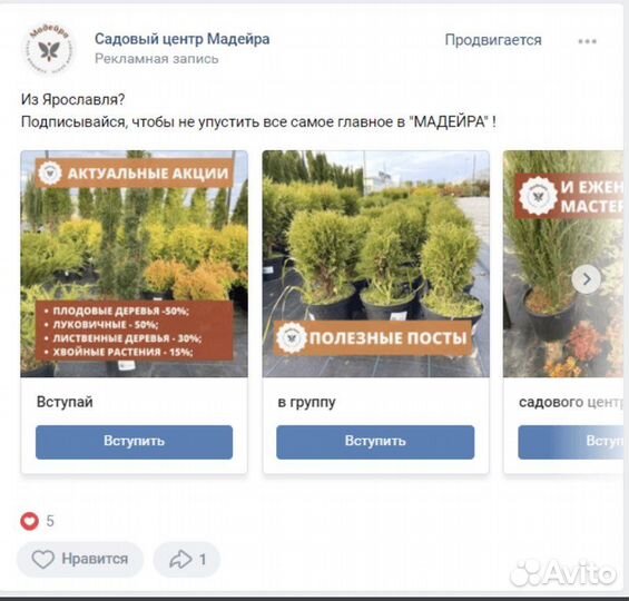 Таргетированная реклама и смм