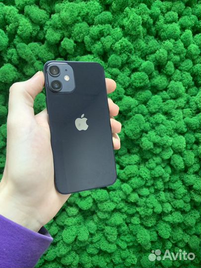 iPhone 12 mini, 256 ГБ