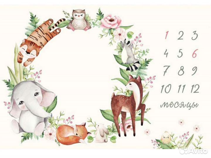 Фотоплед по месяцам для фотосессии малыша