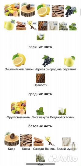 Mancera cedrat boise распив