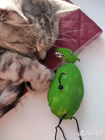 Пол-литровая мышь