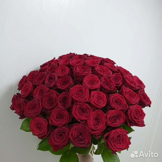 Доставка цветов,розы.Красные розы 101,51,25
