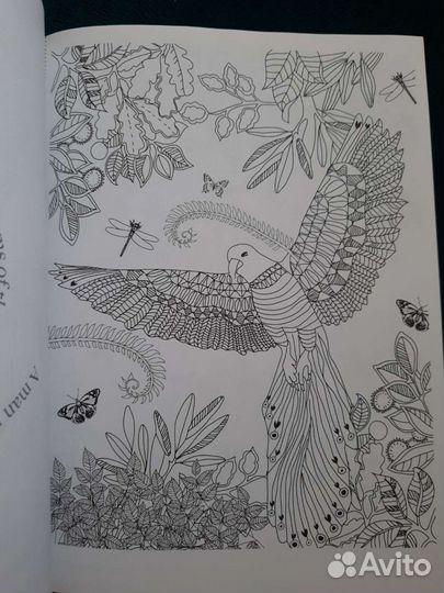 Раскраска антистресс