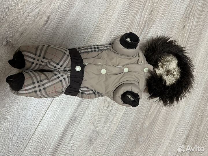 Одежда для собак мелких пород