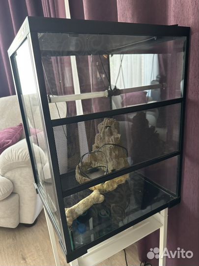 Террариум для рептилий бу