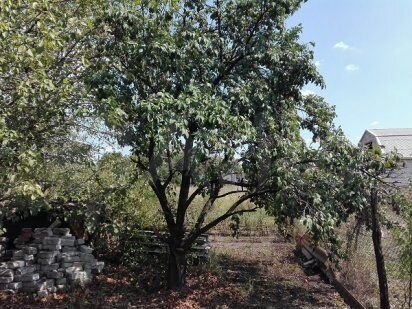 Дом 48 м² на участке 6 сот.