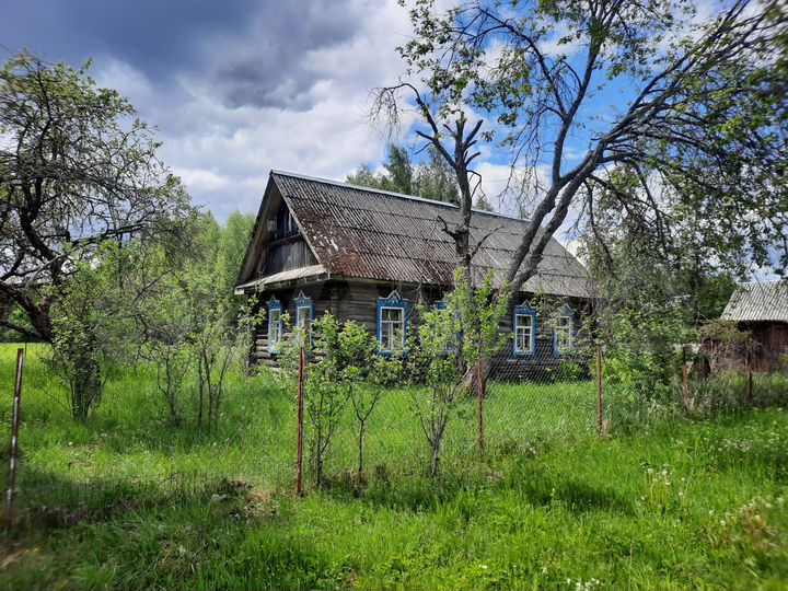 Дом 48 м² на участке 46 сот.
