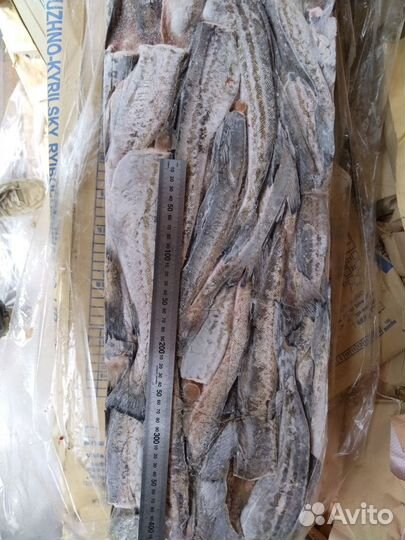 Рыба свежемороженая