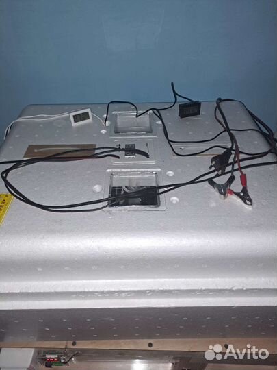 Инкубатор для яиц автоматический несушка