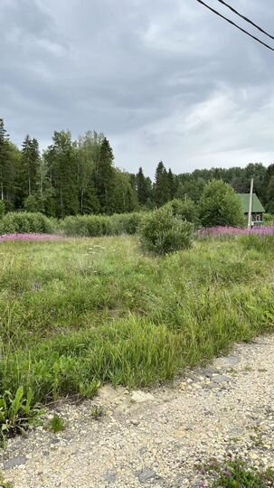 Участок 10,9 сот. (СНТ, ДНП)