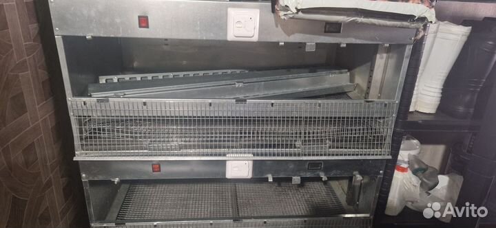 Брудер для цыплят