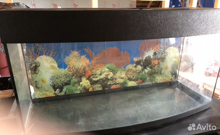 Панорамный аквариум